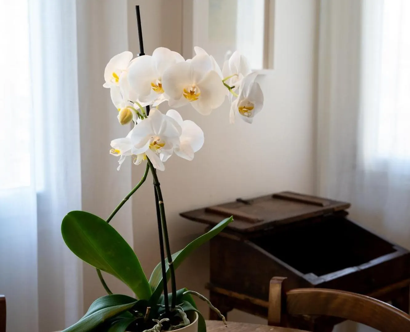 Aventino Boutique Apartment - Rome Italy